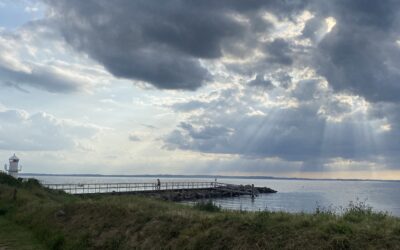 Når forsøget på kontrol bliver til overtænkning og uro